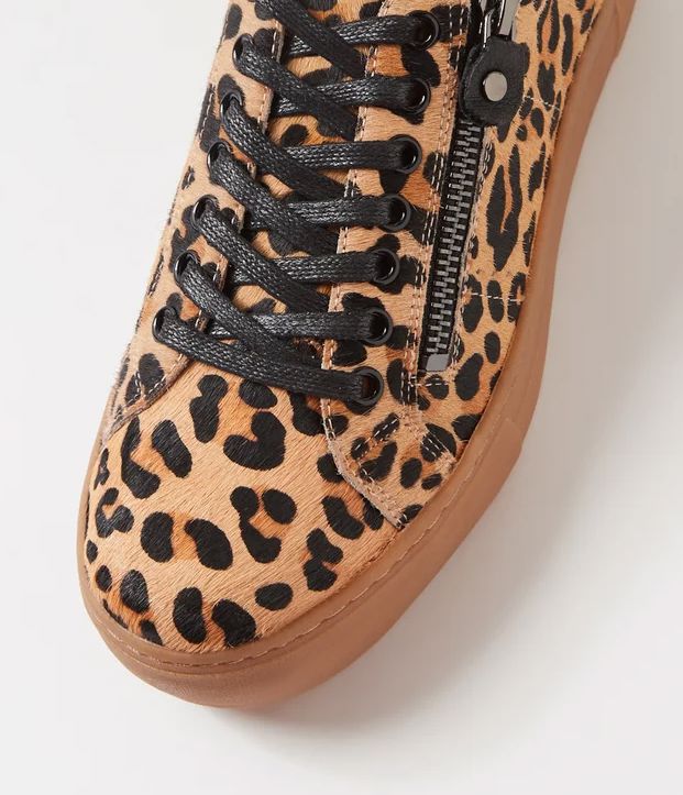 DJANGO AND JULIETTE FROGGY TRAINER SHOE SHOP - SHOES Django and Juliette 