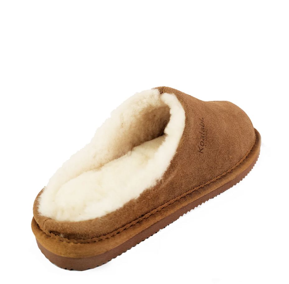 KOALABI BRODIE SLIPPER SHOE SHOP - UGGS BOOTS KOALABI 